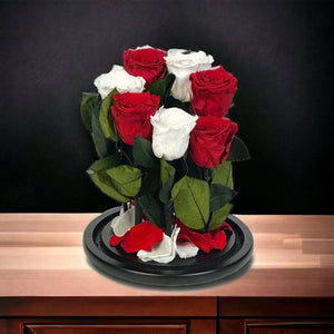 Aranjament Cu 7 Trandafiri Criogenati În Cupolă De Sticlă Cu Mesaj Personalizat - Trandafir - Criogenat.ro