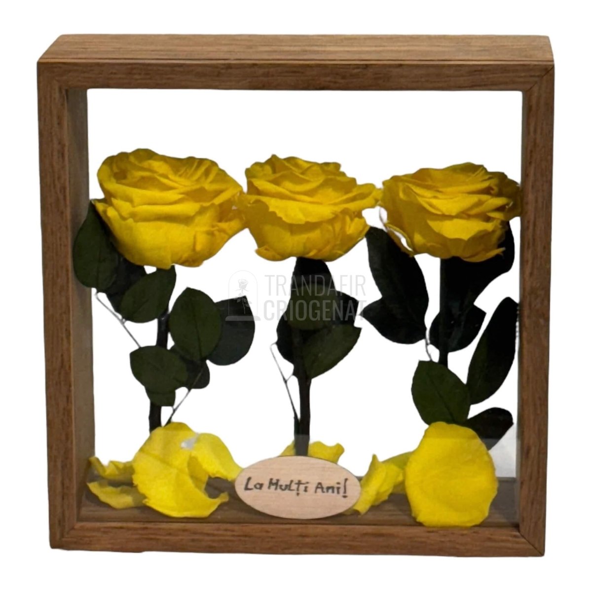 Aranjament De Masa Cu 3 Trandafiri Criogenați Galbeni Premium Pentru Decor Elegant În Casă Sau Birou Până La 25 De Ani - Trandafir - Criogenat.ro