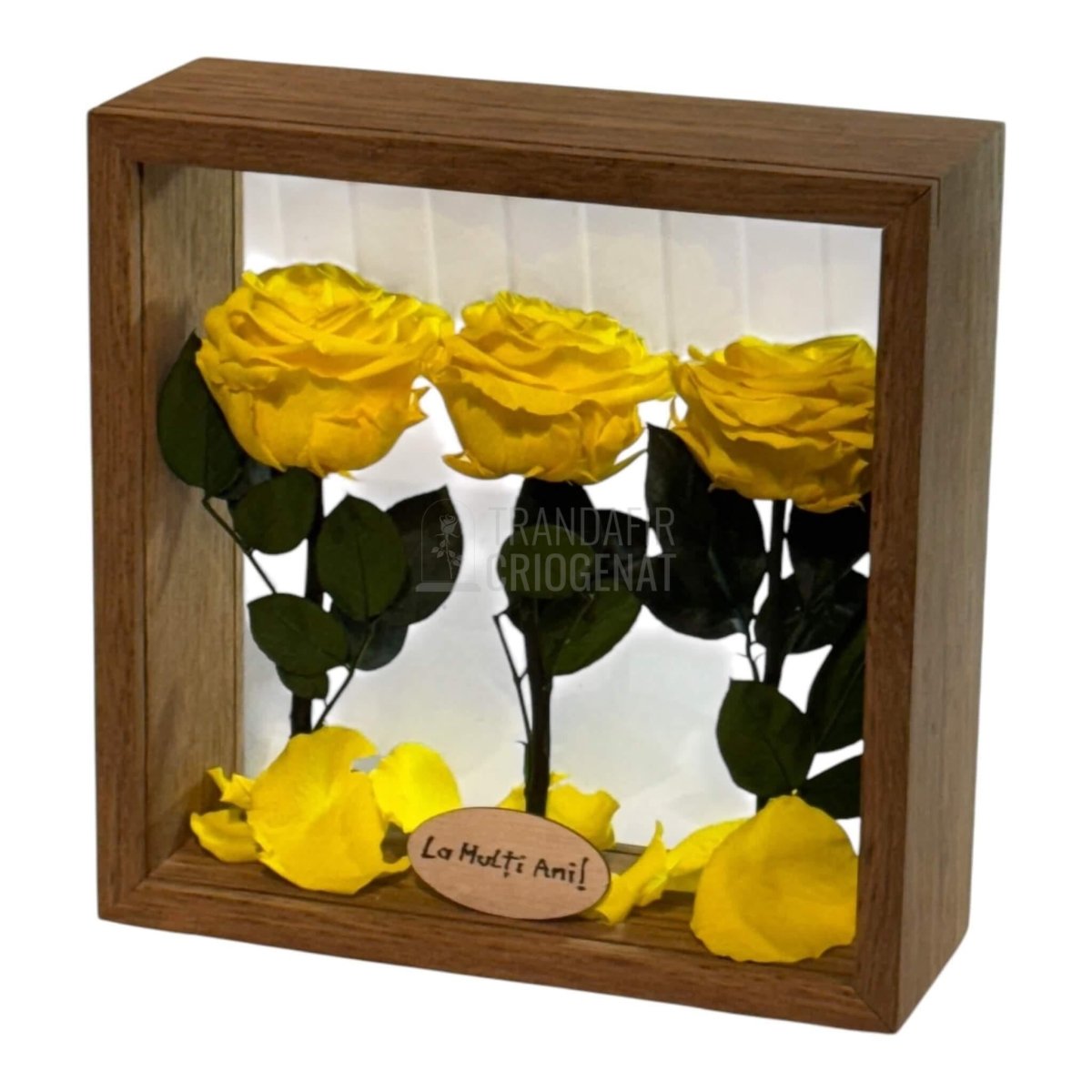 Aranjament De Masa Cu 3 Trandafiri Criogenați Galbeni Premium Pentru Decor Elegant În Casă Sau Birou Până La 25 De Ani - Trandafir - Criogenat.ro