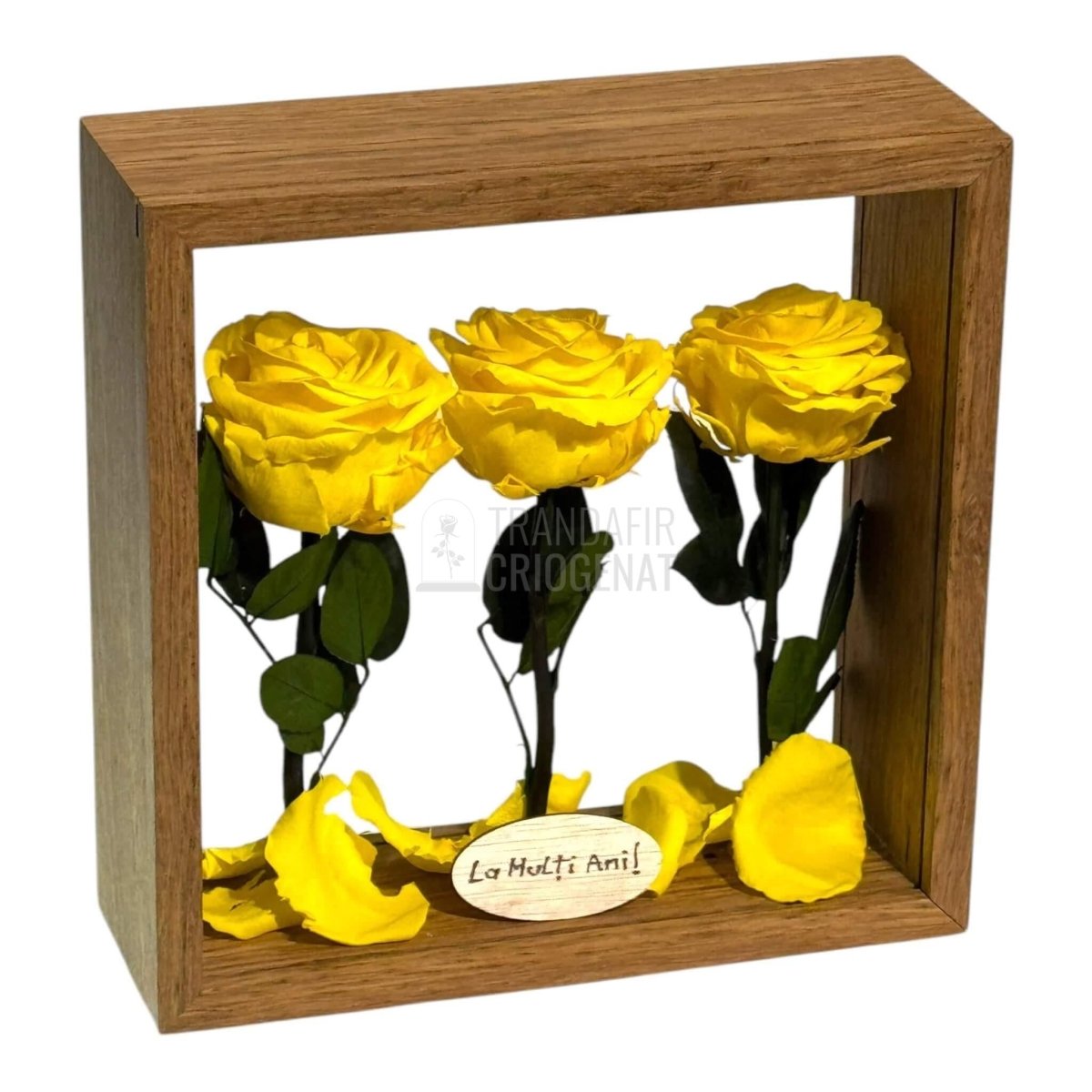 Aranjament De Masa Cu 3 Trandafiri Criogenați Galbeni Premium Pentru Decor Elegant În Casă Sau Birou Până La 25 De Ani - Trandafir - Criogenat.ro