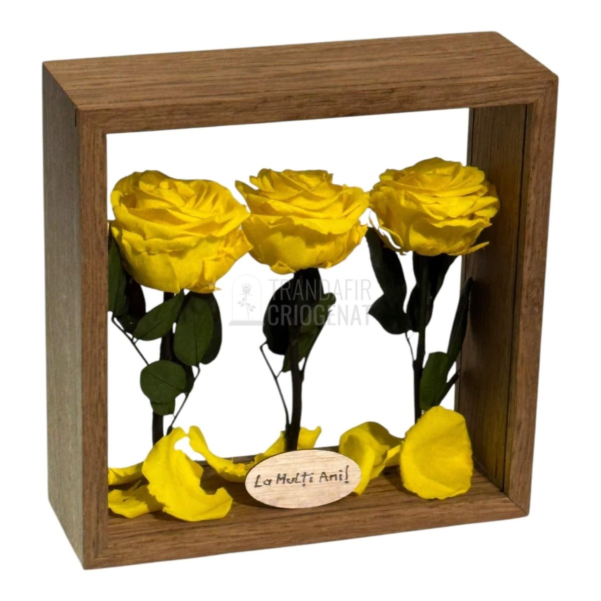 Aranjament De Masa Cu 3 Trandafiri Criogenați Galbeni Premium Pentru Decor Elegant În Casă Sau Birou Până La 25 De Ani - Trandafir - Criogenat.ro