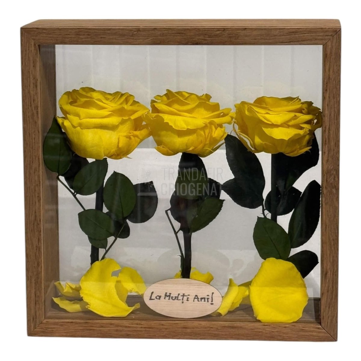 Aranjament De Masa Cu 3 Trandafiri Criogenați Galbeni Premium Pentru Decor Elegant În Casă Sau Birou Până La 25 De Ani - Trandafir - Criogenat.ro