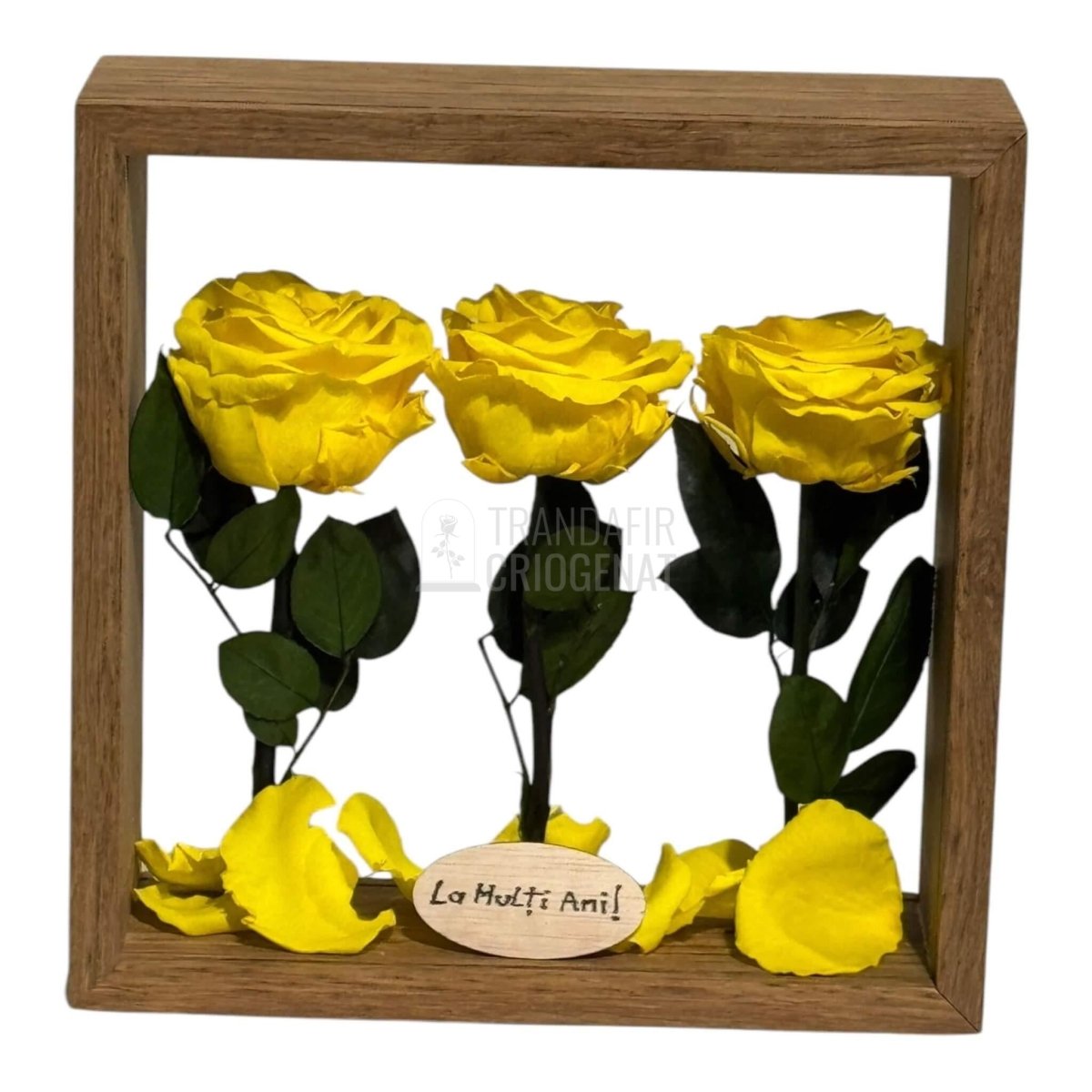 Aranjament De Masa Cu 3 Trandafiri Criogenați Galbeni Premium Pentru Decor Elegant În Casă Sau Birou Până La 25 De Ani - Trandafir - Criogenat.ro