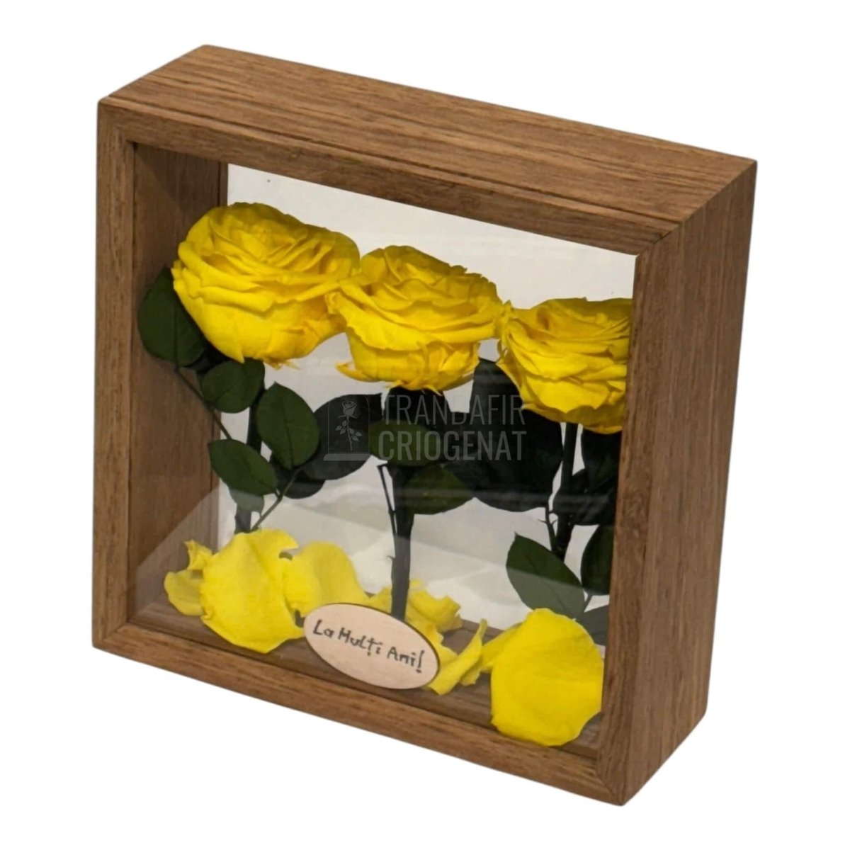 Aranjament De Masa Cu 3 Trandafiri Criogenați Galbeni Premium Pentru Decor Elegant În Casă Sau Birou Până La 25 De Ani - Trandafir - Criogenat.ro