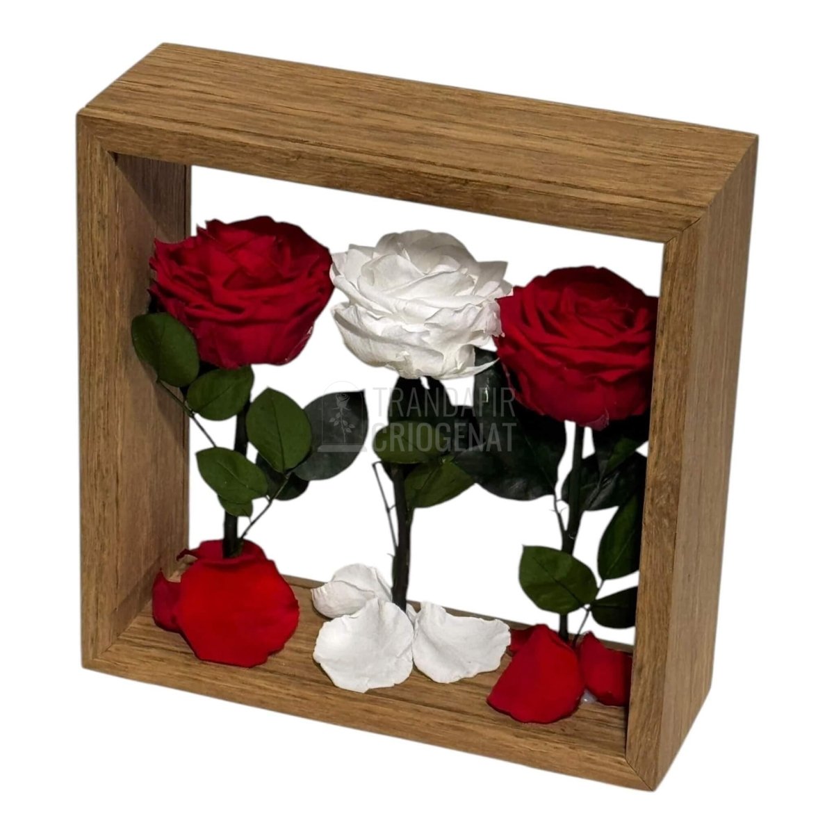 Aranjament de Masă cu Trandafiri Criogenați Eleganță și Simbol al Iubirii 27x27 cm - Trandafir - Criogenat.ro