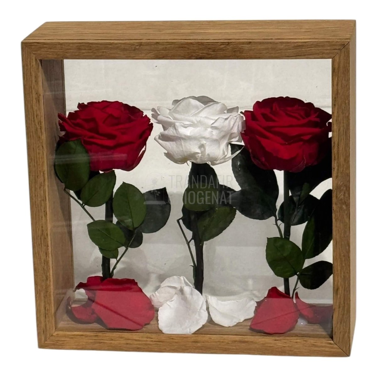 Aranjament de Masă cu Trandafiri Criogenați Eleganță și Simbol al Iubirii 27x27 cm - Trandafir - Criogenat.ro