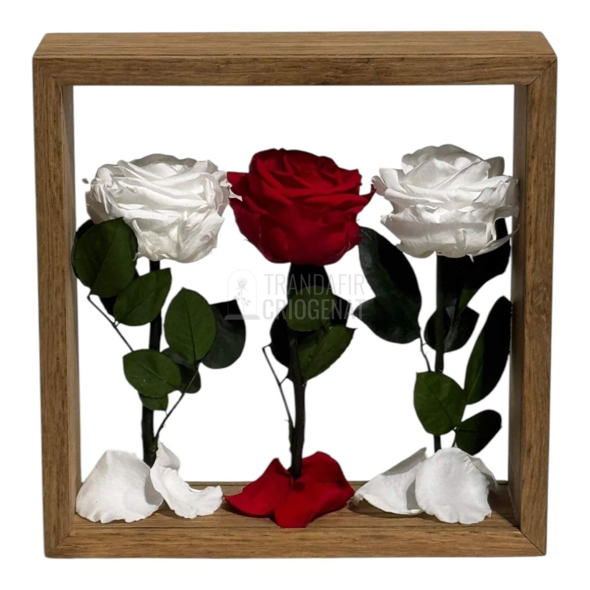 Aranjament De Masa Cu Trandafiri Criogenați Premium Eleganță Naturală Durează Până La 25 De Ani - Trandafir - Criogenat.ro
