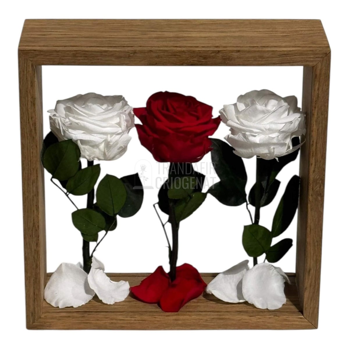 Aranjament De Masa Cu Trandafiri Criogenați Premium Eleganță Naturală Durează Până La 25 De Ani - Trandafir - Criogenat.ro