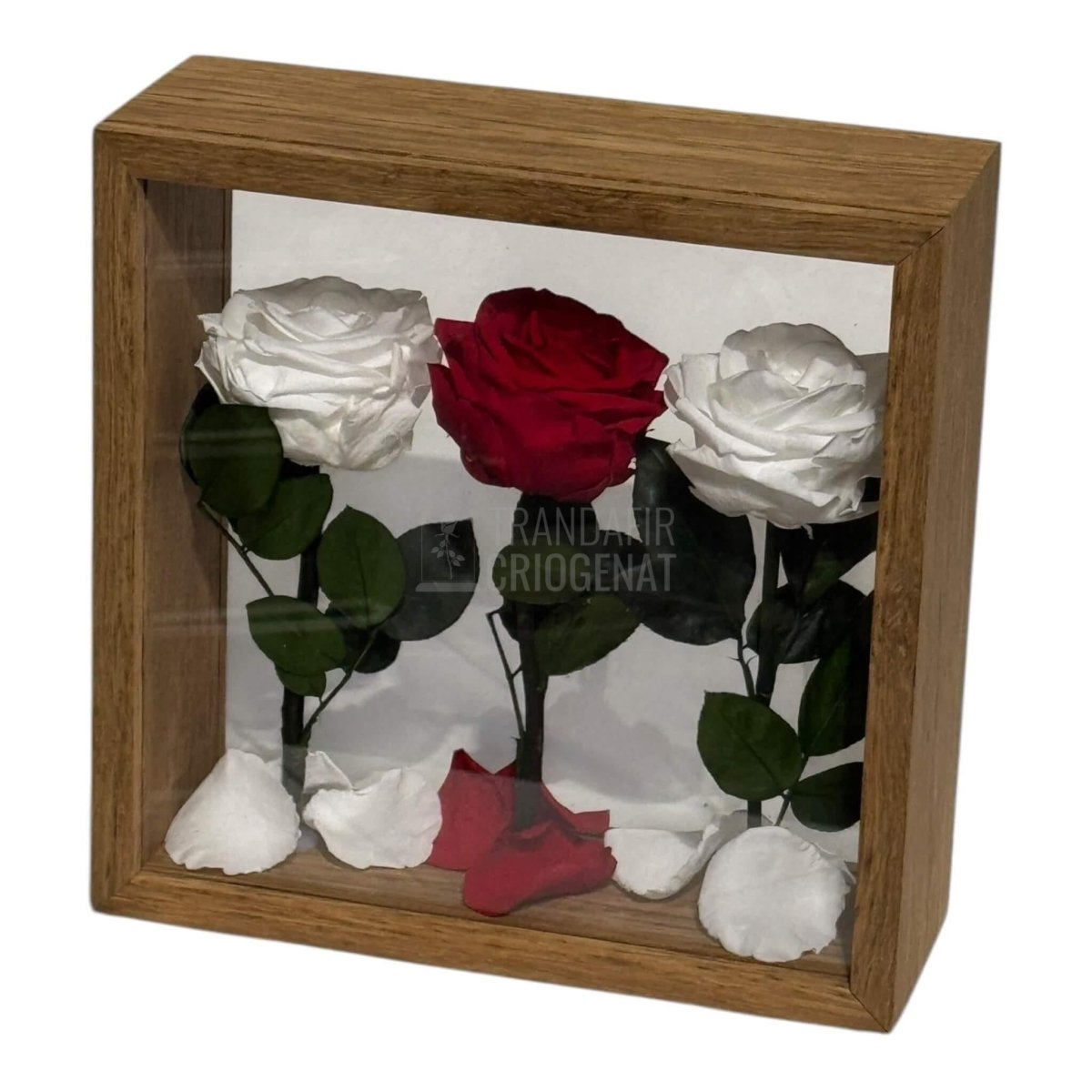 Aranjament De Masa Cu Trandafiri Criogenați Premium Eleganță Naturală Durează Până La 25 De Ani - Trandafir - Criogenat.ro
