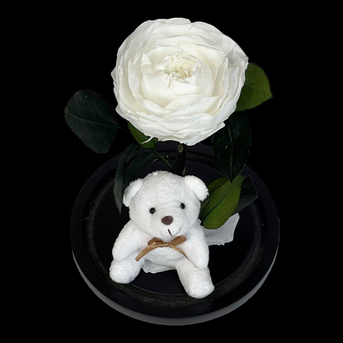 Bujor Criogenat Alb În Cupolă De Sticlă Cu Bază Din Lemn Negru Ø10cm 15x25cm - Trandafir - Criogenat.ro