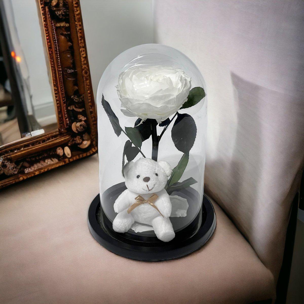 Bujor Criogenat Alb În Cupolă De Sticlă Cu Bază Din Lemn Negru Ø10cm 15x25cm - Trandafir - Criogenat.ro