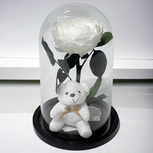 Bujor Criogenat Alb În Cupolă De Sticlă Cu Bază Din Lemn Negru Ø10cm 15x25cm - Trandafir - Criogenat.ro