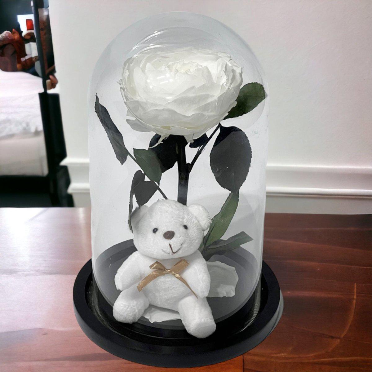 Bujor Criogenat Alb În Cupolă De Sticlă Cu Bază Din Lemn Negru Ø10cm 15x25cm - Trandafir - Criogenat.ro