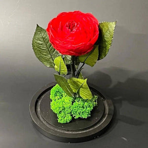 Bujor Criogenat Roșu Cu Cupolă Din Sticlă Diametru 10cm Cadou Etern 15x25cm - Trandafir - Criogenat.ro