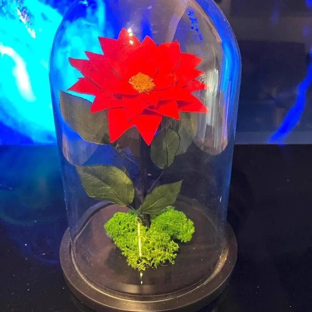 Craciunita Criogenata Rosie Cupola Decorativa 10 Cm Cadou Unic Pentru Iubita - Trandafir - Criogenat.ro