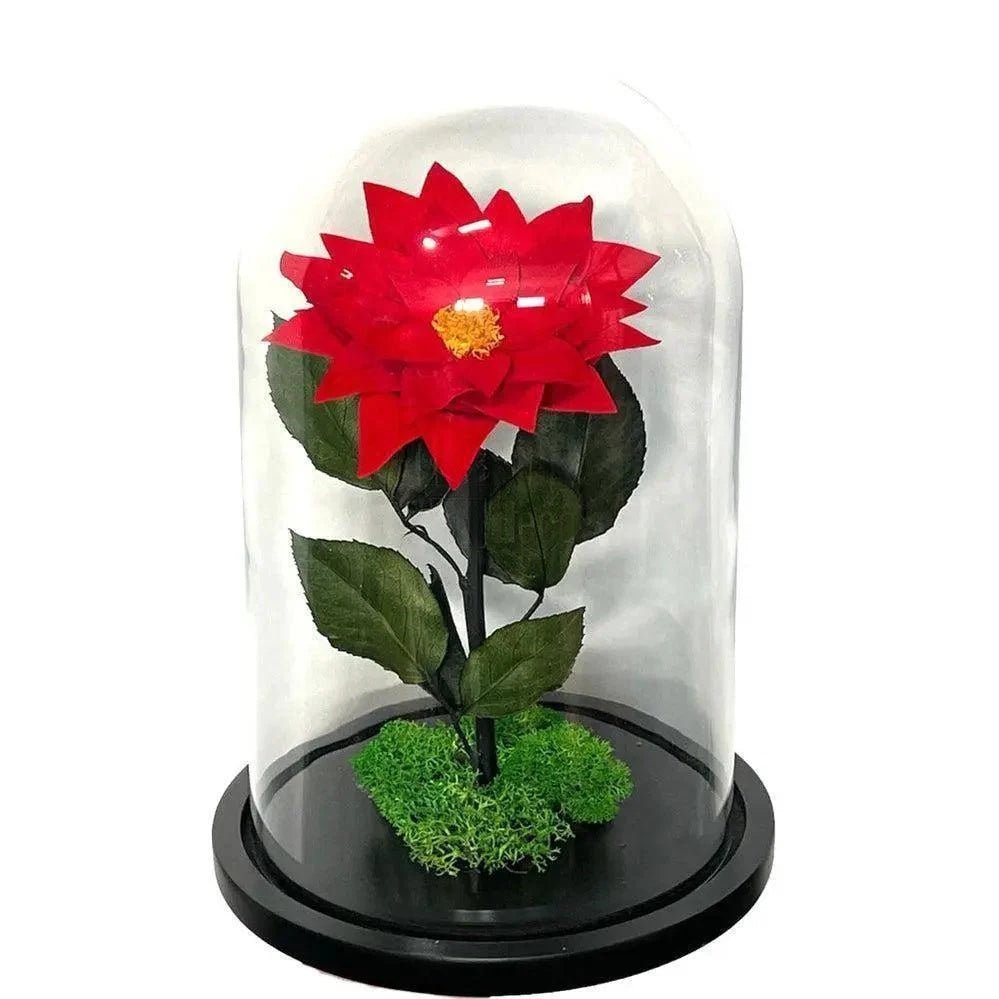 Craciunita Criogenata Rosie Cupola Decorativa 10 Cm Cadou Unic Pentru Iubita - Trandafir - Criogenat.ro