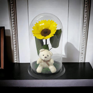 Cupolă Cu Floarea Soarelui Criogenată De 10 - 12 Cm Cu Ursuleț Mesaj Personalizat - Trandafir - Criogenat.ro
