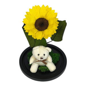 Cupolă Cu Floarea Soarelui Criogenată De 10 - 12 Cm Cu Ursuleț Mesaj Personalizat - Trandafir - Criogenat.ro
