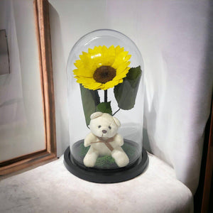 Cupolă Cu Floarea Soarelui Criogenată De 10 - 12 Cm Cu Ursuleț Mesaj Personalizat - Trandafir - Criogenat.ro