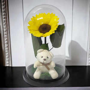 Cupolă Cu Floarea Soarelui Criogenată De 10 - 12 Cm Cu Ursuleț Mesaj Personalizat - Trandafir - Criogenat.ro