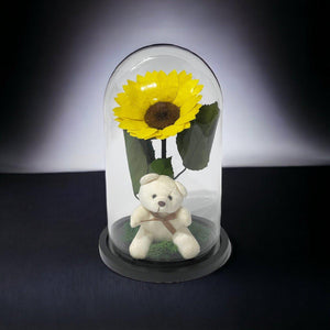 Cupolă Cu Floarea Soarelui Criogenată De 10 - 12 Cm Cu Ursuleț Mesaj Personalizat - Trandafir - Criogenat.ro