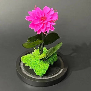 Dalie Criogenată Ciclam În Cupolă De Sticlă Cadou Nemuritor Dimensiune 10x20cm - Trandafir - Criogenat.ro