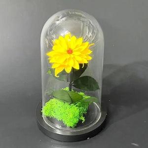Dalie Criogenată Galbenă Cu Cupolă De Sticlă Cadou Nemuritor Pentru Femei 8 Cm - Trandafir - Criogenat.ro