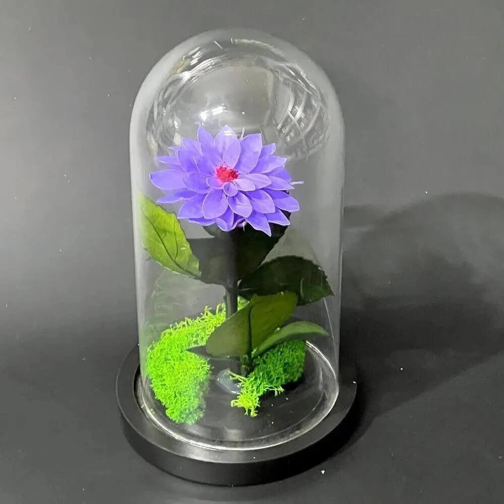 Dalie Criogenata Mov In Cupola Sticla Eleganta 10x20cm Cadou Unic Pentru Femei - Trandafir - Criogenat.ro