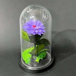 Dalie Criogenata Mov In Cupola Sticla Eleganta 10x20cm Cadou Unic Pentru Femei - Trandafir - Criogenat.ro