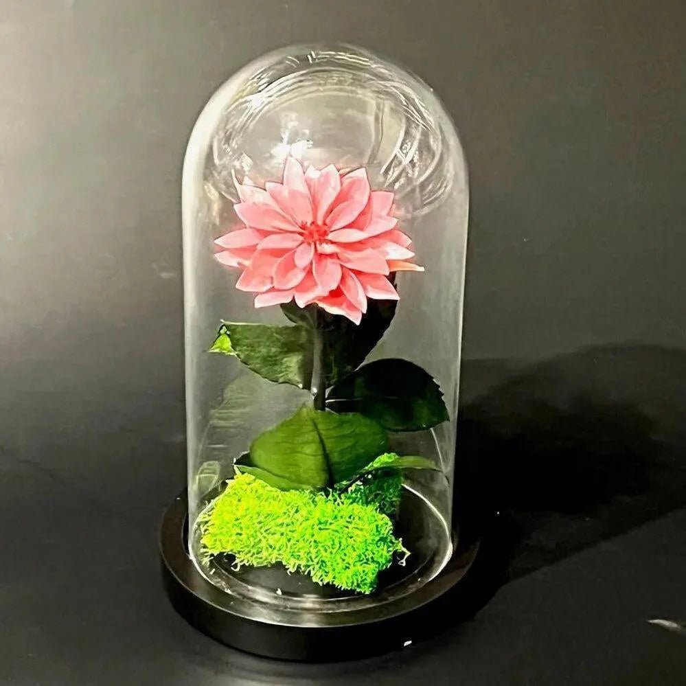 Dalie Criogenata Mov - Pudrat In Cupola De Sticla Cu Mesaj Personalizat Ø8cm - Trandafir - Criogenat.ro