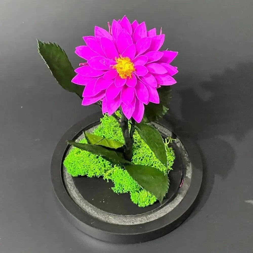 Dalie Criogenată Purpurie Ø8cm În Cupolă De Sticlă Cadou Ideal Pentru Dragoste - Trandafir - Criogenat.ro