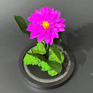 Dalie Criogenată Purpurie Ø8cm În Cupolă De Sticlă Cadou Ideal Pentru Dragoste - Trandafir - Criogenat.ro