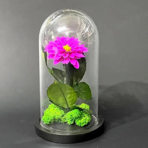 Dalie Criogenată Purpurie Ø8cm În Cupolă De Sticlă Cadou Ideal Pentru Dragoste - Trandafir - Criogenat.ro