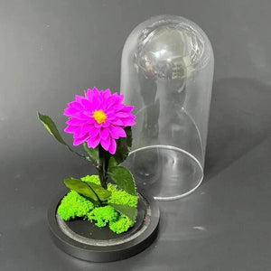 Dalie Criogenată Purpurie Ø8cm În Cupolă De Sticlă Cadou Ideal Pentru Dragoste - Trandafir - Criogenat.ro
