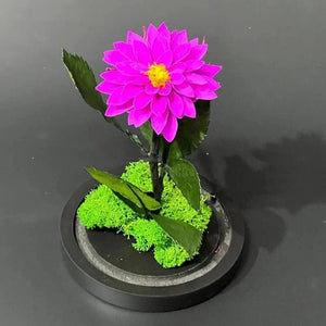 Dalie Criogenată Purpurie Ø8cm În Cupolă De Sticlă Cadou Ideal Pentru Dragoste - Trandafir - Criogenat.ro