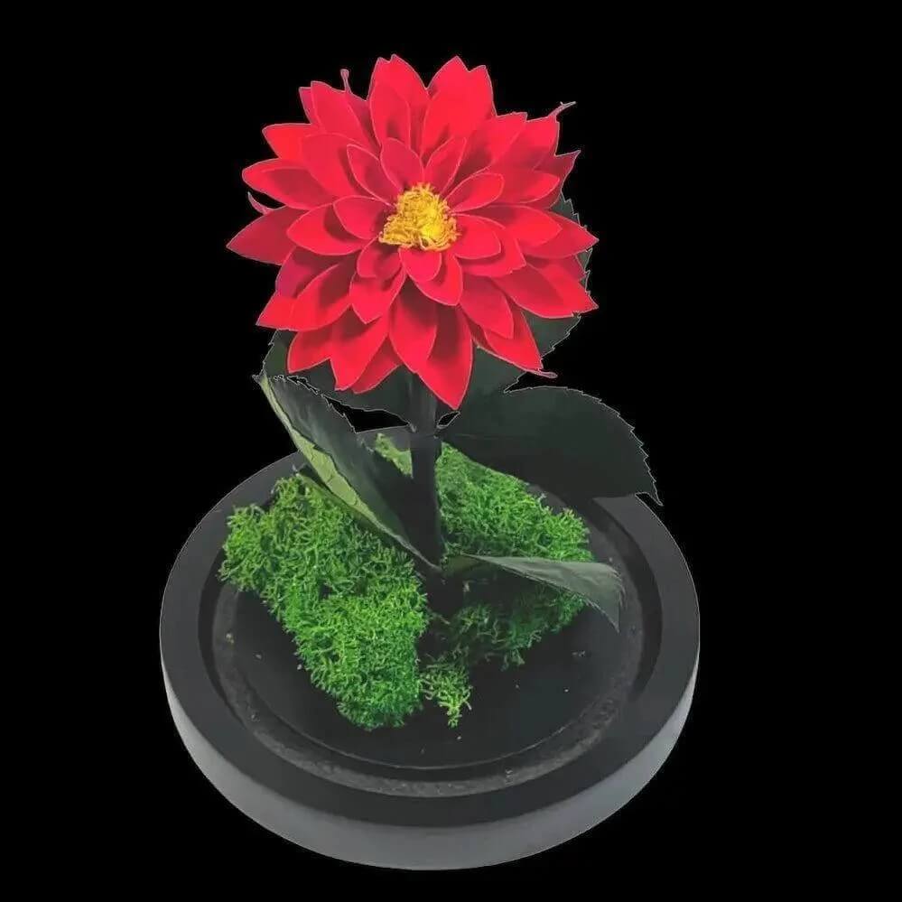 Dalie Criogenata Rosie In Cupola De Sticla Cadou Etern Pentru Femeia Speciala - Trandafir - Criogenat.ro