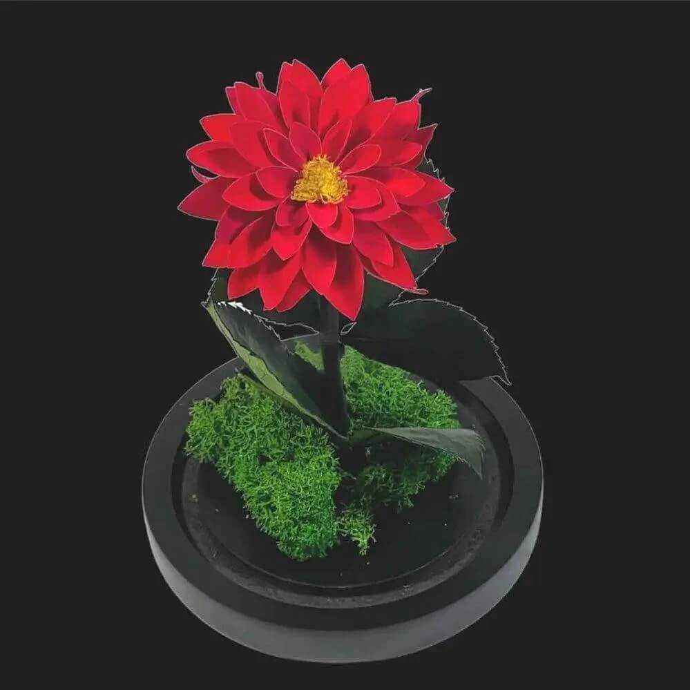 Dalie Criogenata Rosie In Cupola De Sticla Cadou Etern Pentru Femeia Speciala - Trandafir - Criogenat.ro