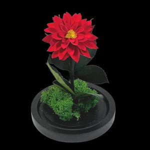 Dalie Criogenata Rosie In Cupola De Sticla Cadou Etern Pentru Femeia Speciala - Trandafir - Criogenat.ro