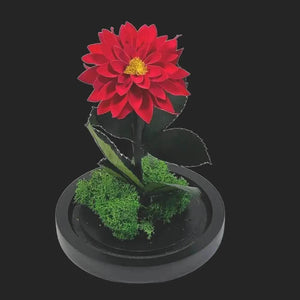 Dalie Criogenata Rosie In Cupola De Sticla Cadou Etern Pentru Femeia Speciala - Trandafir - Criogenat.ro