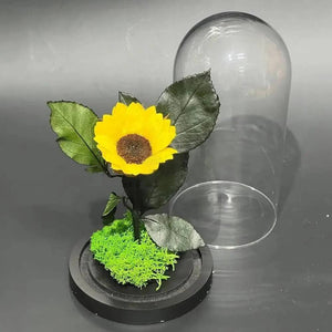 Floarea Soarelui Criogenata In Cupola De Sticla Cu Mesaj Personalizat Si Special - Trandafir - Criogenat.ro