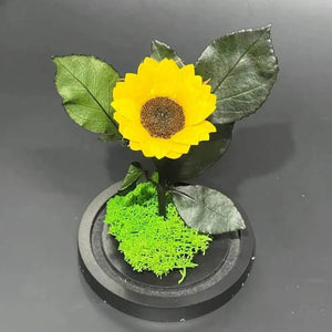 Floarea Soarelui Criogenata In Cupola De Sticla Cu Mesaj Personalizat Si Special - Trandafir - Criogenat.ro