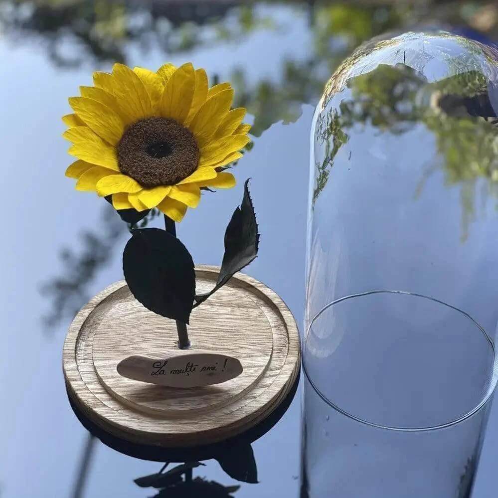Floarea Soarelui Criogenata In Cupola Sticla Cadou Elegant Cu Mesaj Personalizat - Trandafir - Criogenat.ro