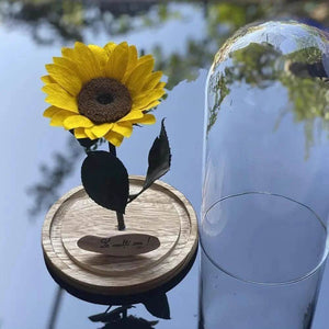 Floarea Soarelui Criogenata In Cupola Sticla Cadou Elegant Cu Mesaj Personalizat - Trandafir - Criogenat.ro