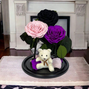 Set Cadou Trandafiri Criogenati Negru Roz Purpuriu sub Cupolă de Sticlă - Trandafir - Criogenat.ro