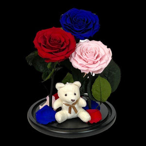 Set Cu 3 Trandafiri Criogenati În Cupolă Elegantă De Sticlă Roșu Albastru Roz - Trandafir - Criogenat.ro