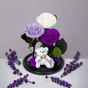 Set Elegant De 3 Trandafiri Criogenati Alb Lila Purpuriu In Cupola De Sticla - Trandafir - Criogenat.ro