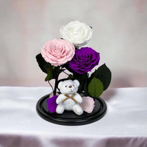 Set Trandafiri Criogenati Mari Alb Roz Purpuriu în Cupolă Elegantă de Sticlă - Trandafir - Criogenat.ro