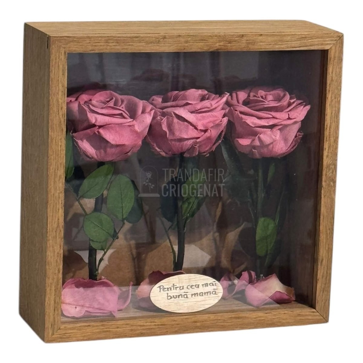 Tablou Cu 3 Trandafiri Criogenați Mov Pudrat În Ramă Din Stejar Masiv Cu Plexiglas Protector Cadou Elegant Și Natural - Trandafir - Criogenat.ro
