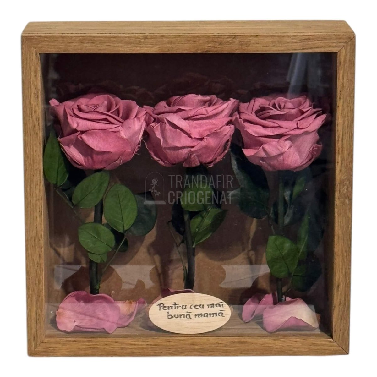 Tablou Cu 3 Trandafiri Criogenați Mov Pudrat În Ramă Din Stejar Masiv Cu Plexiglas Protector Cadou Elegant Și Natural - Trandafir - Criogenat.ro
