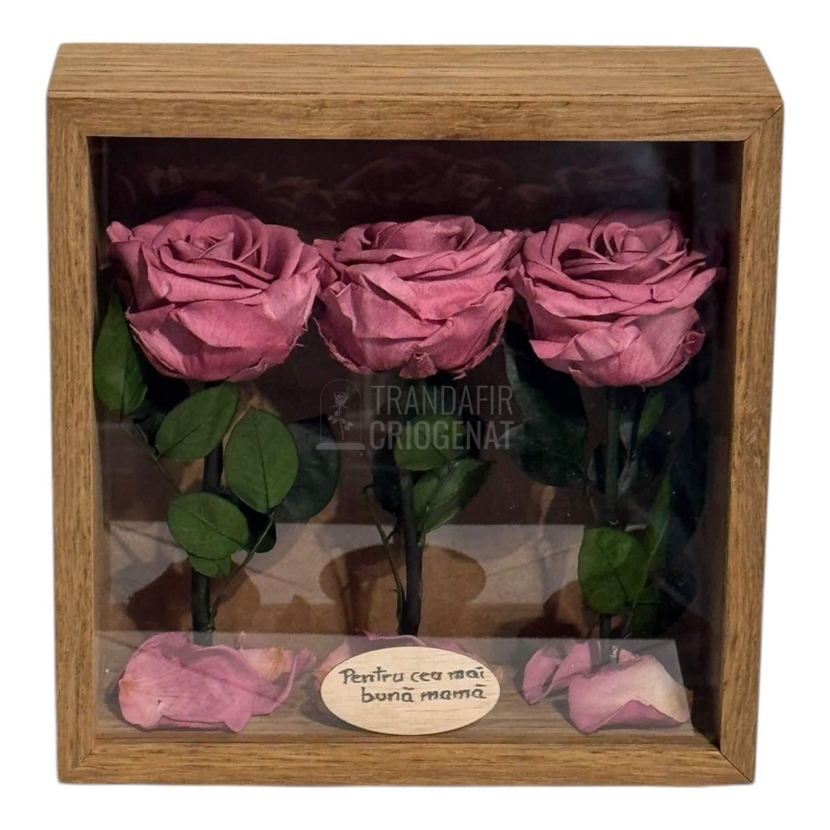 Tablou Cu 3 Trandafiri Criogenați Mov Pudrat În Ramă Din Stejar Masiv Cu Plexiglas Protector Cadou Elegant Și Natural - Trandafir - Criogenat.ro